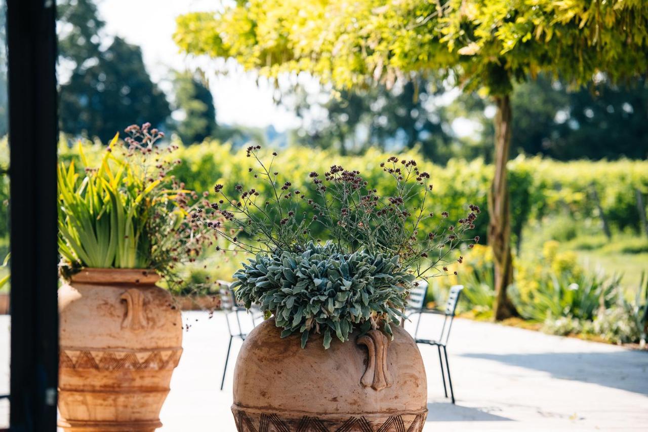 Villa Dimora Buglioni Wine Relais à San Pietro in Cariano Extérieur photo