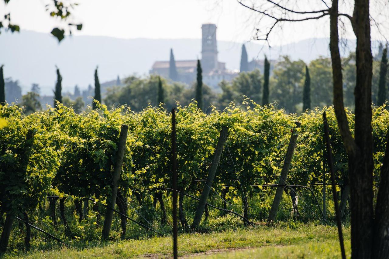 Villa Dimora Buglioni Wine Relais à San Pietro in Cariano Extérieur photo