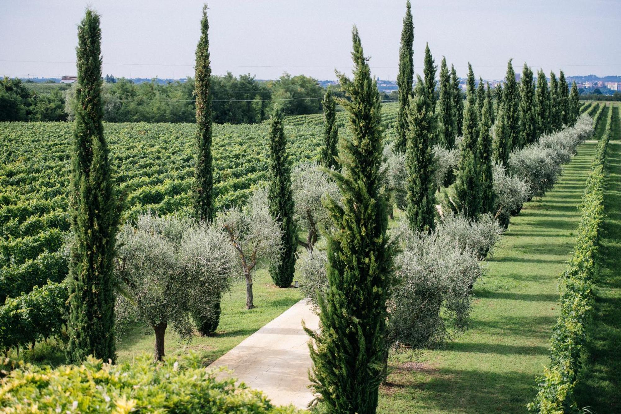 Villa Dimora Buglioni Wine Relais à San Pietro in Cariano Extérieur photo