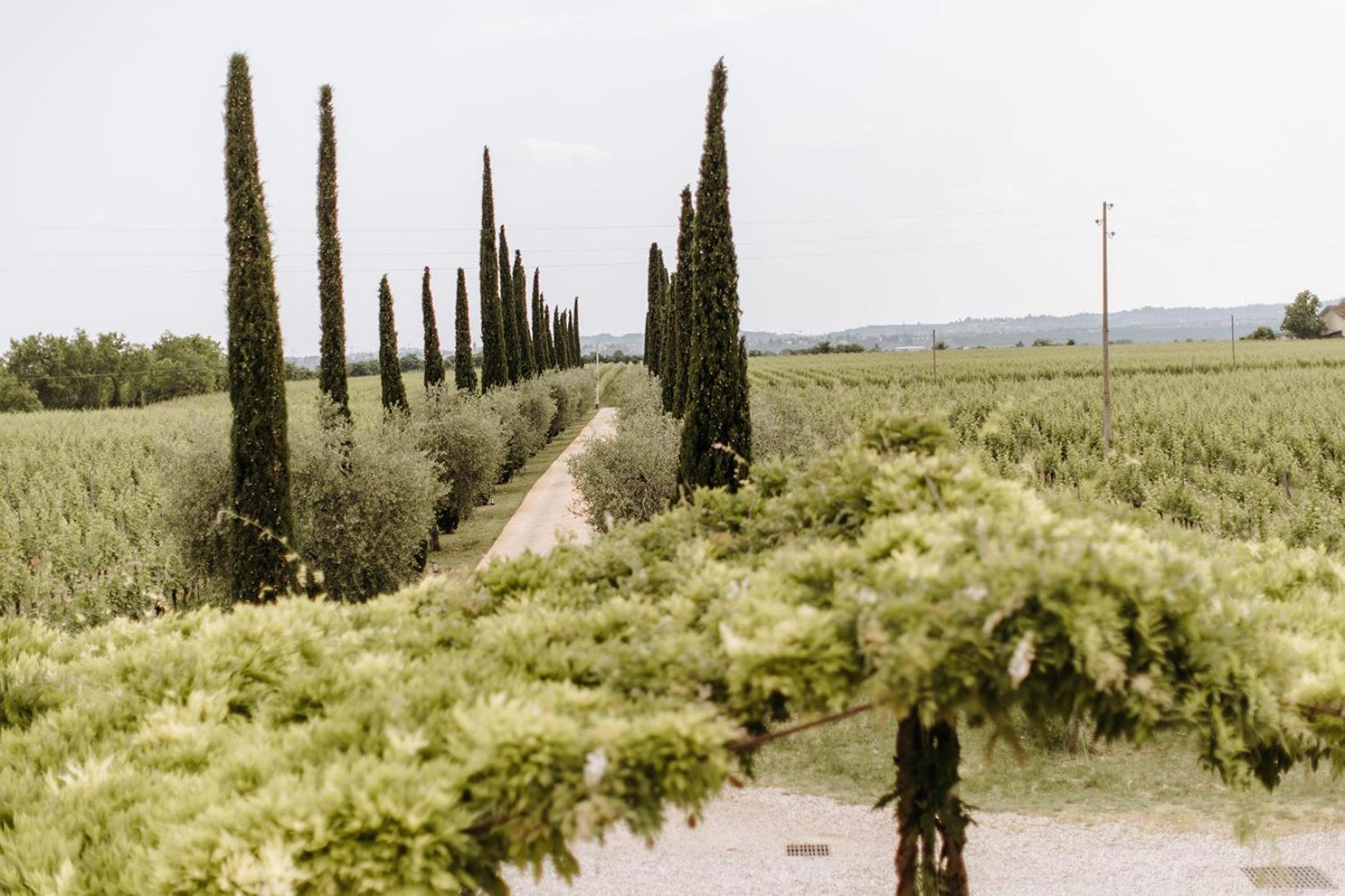Villa Dimora Buglioni Wine Relais à San Pietro in Cariano Extérieur photo